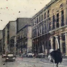 Angelo Accardi, Mi è sembrato di vedere uno struzzo