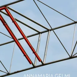 ANNAMARIA GELMI. Rigore e passione nella misura del mondo