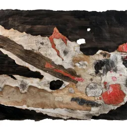 Scritture strappate - Angela Rapio