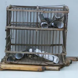 Libro-Oggetto / Oggetto-Libro