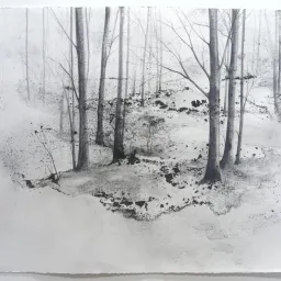 Magna Carta - Mostra collettiva di opere su carta