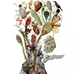 La sala Piccola Fenice ospita “Disorientamenti”