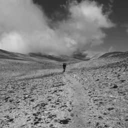 Desert Project - Francesca Consigli e William Santoleri