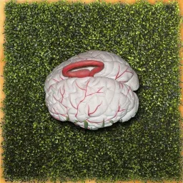 Terra, madre Terra - collettiva