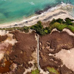 Dal cielo in esclusiva