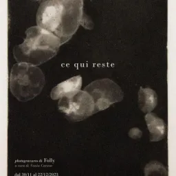 "Ce qui reste", photogravures di Folly