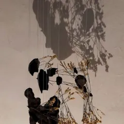 Simone Bubbico - La goccia scava la pietra