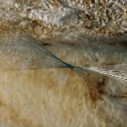 Senso - Installazione di Monica Pennazzi