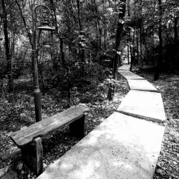 XIV edizione Land Art al Furlo