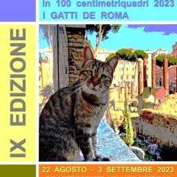 Roma in 100 centimetriquadri 2023 - I gatti de Roma