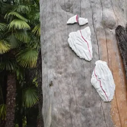 Cavriago Land Art - Pink Line