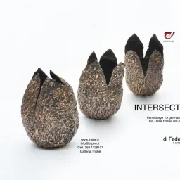 Intersectiones di Federica Zianni