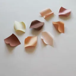 ECTODERMA - Installazione di Emanuela Mastria