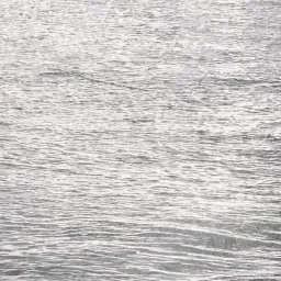 Andrea Gabutti. S.T.