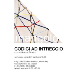 CODICI AD INTRECCIO|