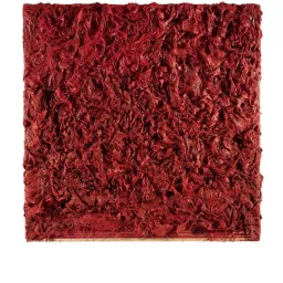 Cláudia Lima - Fragmetos de Arte Pura