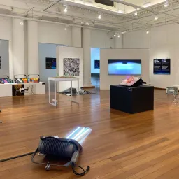 A Project of Art in the Night Race, The New Life of the Floo