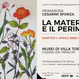 Primarosa Cesarini Sforza - La materia e il perimetro