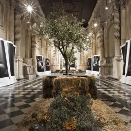 La Corte del Vespro,idea di Toni Campo e Francesco Palazzolo