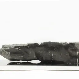 Michelangelo Galliani. Vertigo