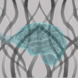 La fortuna e la lirica