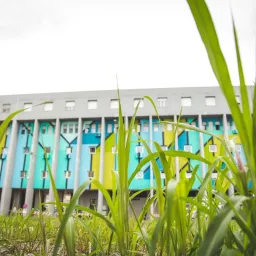 WITHOUT FRONTIERS LUNETTA A COLORI   “UNA NUOVA PELLE”