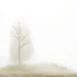 Riccardo Varini - A Po