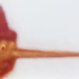 Pinocchio al Pinocchio