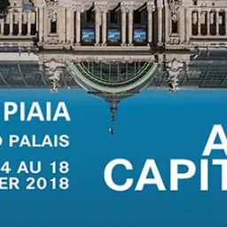 Art Capital di Parigi - Roberto Piaia