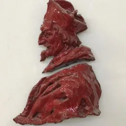 Giuseppe Ducrot, Wolfango e Tristano Di Robilant