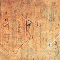 APTICA di Sergio Mario Illuminato