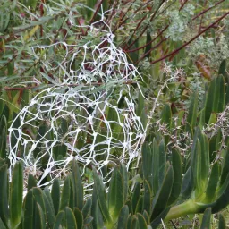 Giuseppe Ripa / Politico