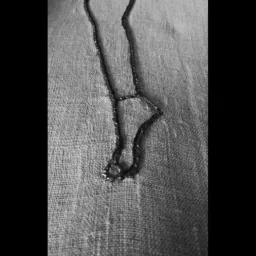 Studi sulla curvatura della linea-verso di Anna Laura Longo