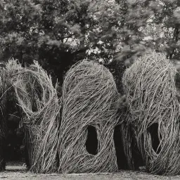 Luigi Menozzi. Intrepidi intrecci