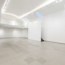 Trampoline. The Artists And Collectors Artpot