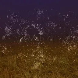 OfficinARS Fotografia - Durante e dopo: Resilienza