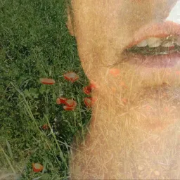 Diana Magri - In alcuni Spazi Inaddomesticati