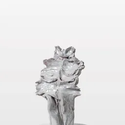 Emiliano Coletta - Debora Mondovì, Legami e lesioni