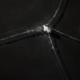 Silvia Scaringella - Pietro Mancini