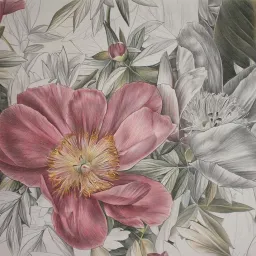 Carlo Moretti e Cristina Iotti. Silenti fioriture