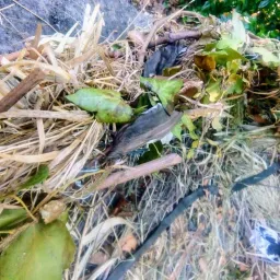 Alberta Piazza - Uno solo non basta (installazione precaria)