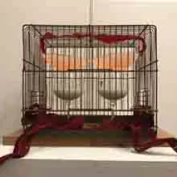 IO, NOI - Insieme contro il tumore