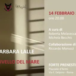al livello del mare - azione artistica di Barbara Lalle 