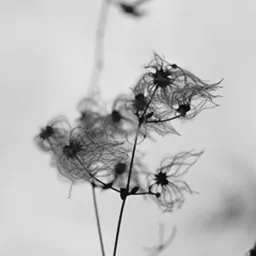 Con gli Occhi di un Artista Rome Contemporary 2025