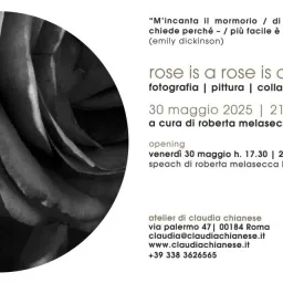 Claudia Chianese - Rose is a rose is a rose is a rose