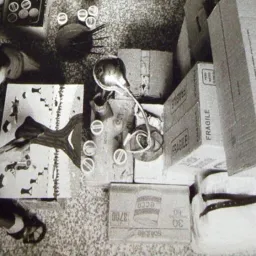 Pecore in transito - Serafino Vala