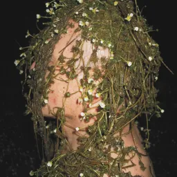 Diversity Contemporary II