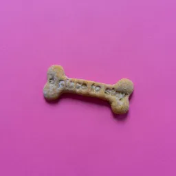 A Place to Stay di Cecilia Mentasti