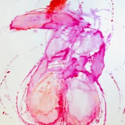 “REFLECTING BODY”