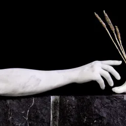 Michelangelo Galliani e Marika Ricchi: Come seme che muore